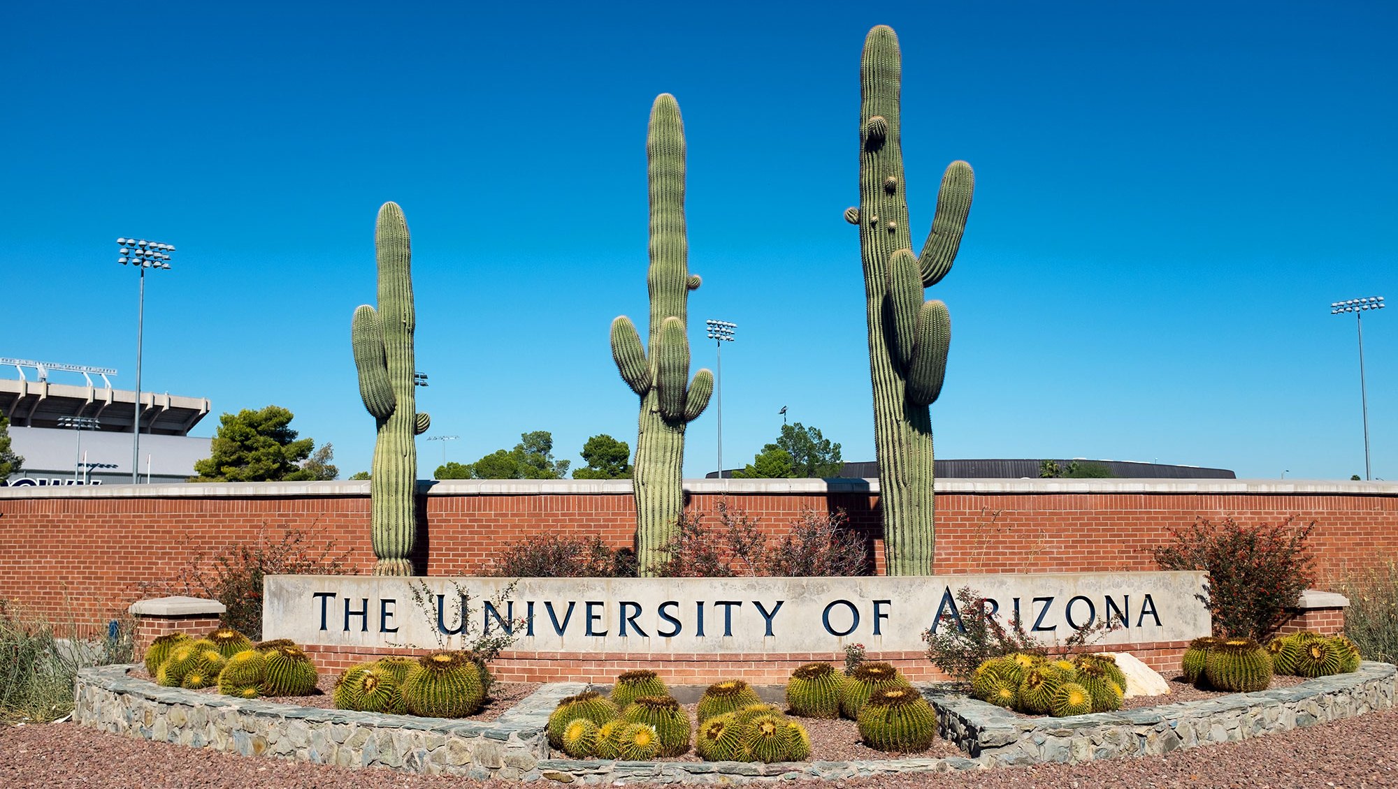 University of Arizona Suspends Sigma Phi Epsilon After Alleged Sexual Assault