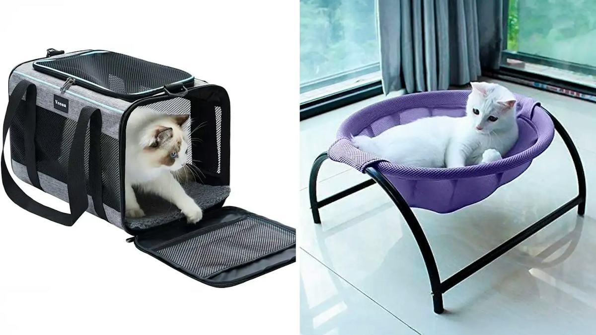 80 Weird, Clever Things Cat Owners Say Are Actually Life-Changing