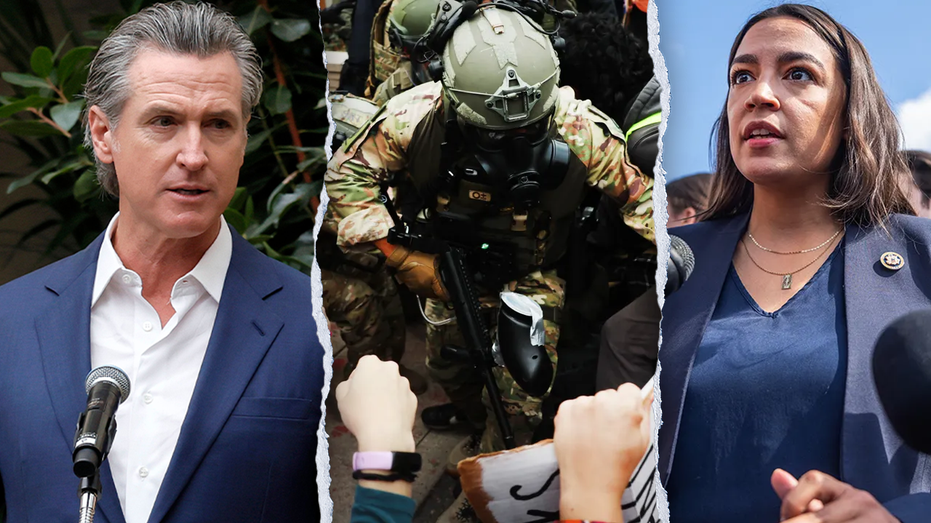 Dems urged to ‘stop siding with illegal aliens’ after activist rams agents in sanctuary city