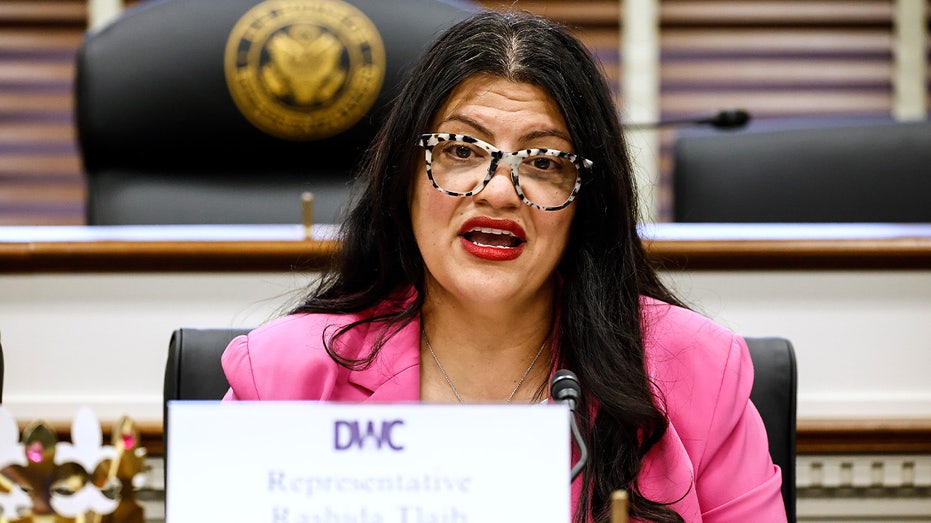 Tlaib under fire for working to unseat two Jewish House Democrats in Florida: 'No coincidence'