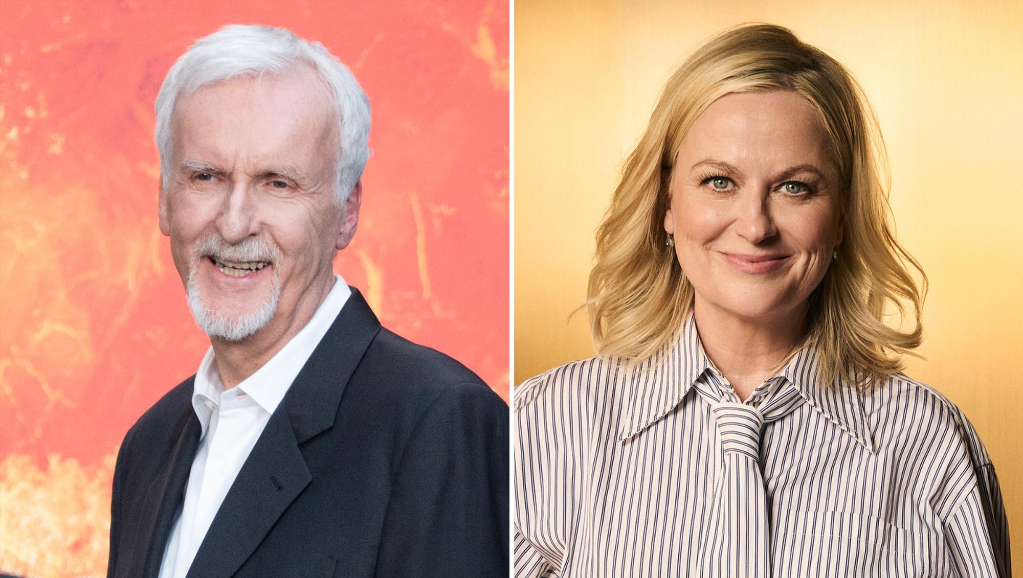 James Cameron Slams Amy Poehler's 'Ignorant' Joke About His Past Marriage