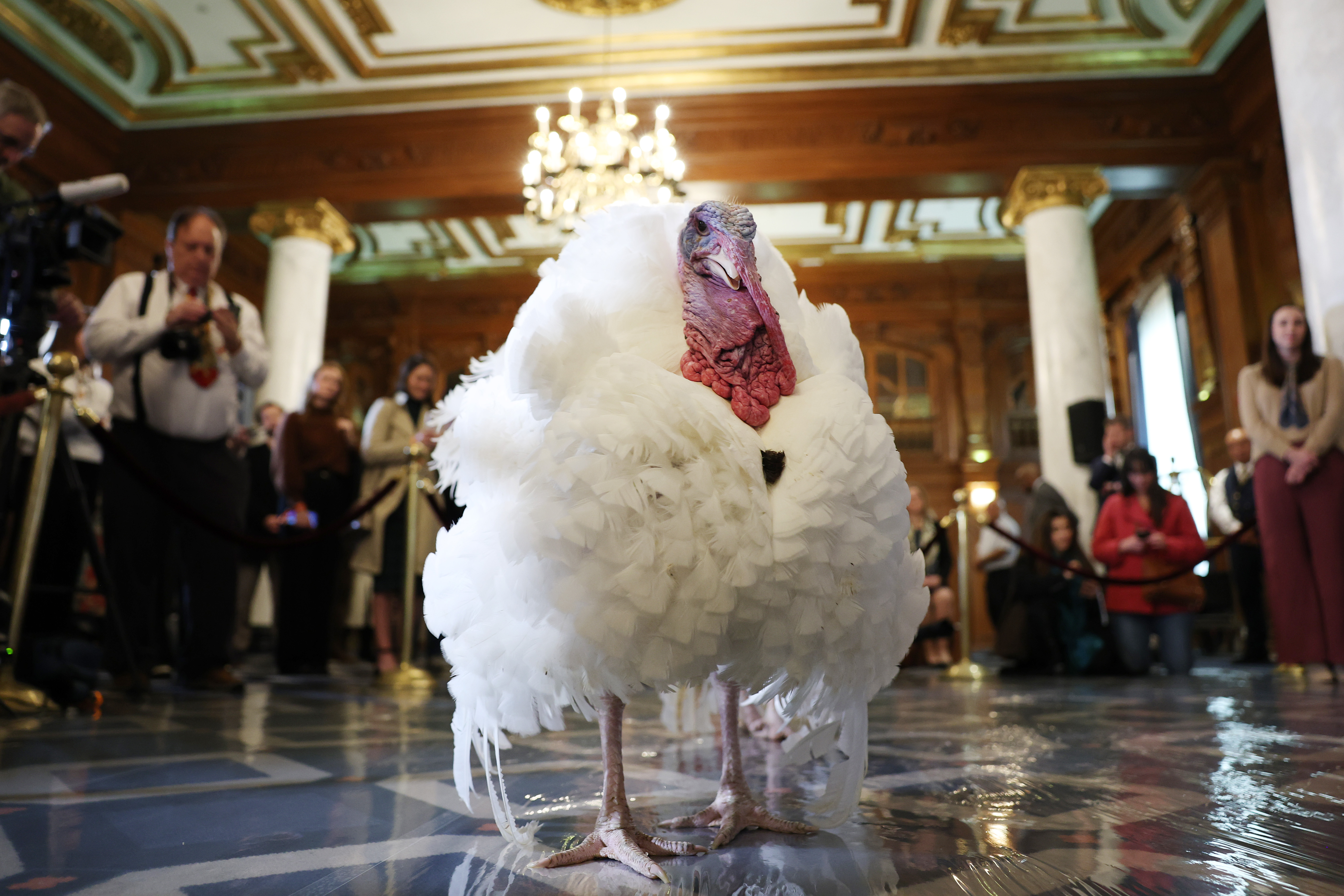 When did Thanksgiving turkey become such a big deal?