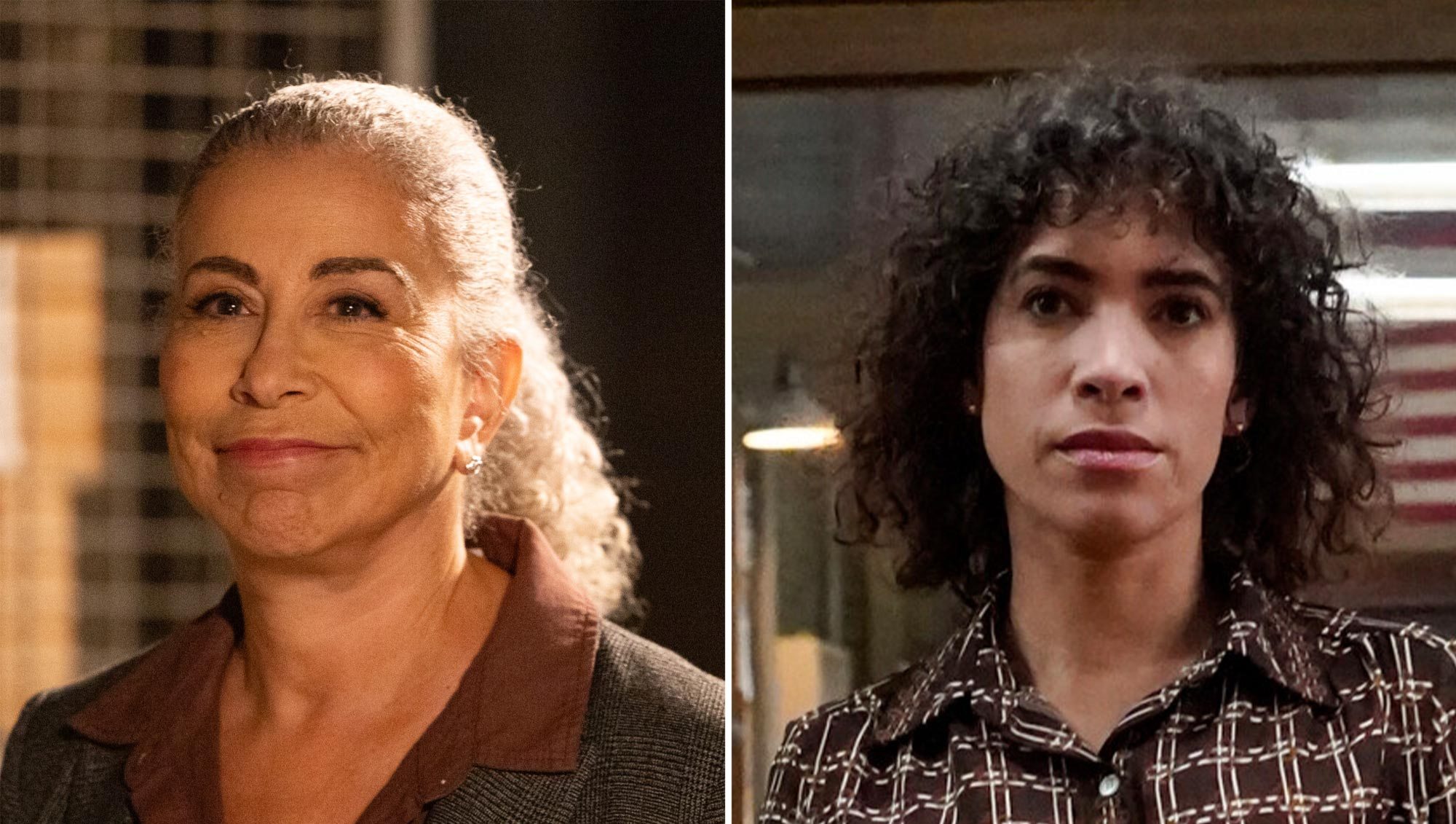 Did You Catch the OG Vera's Return on 'NCIS' and 'Origins' Crossover?