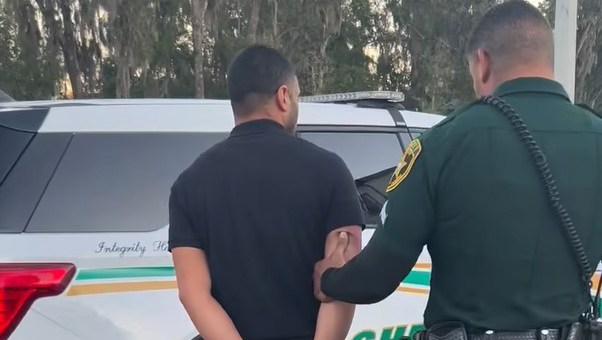 Horse Owner Caught Trainer on Camera Punching, Kicking Horse