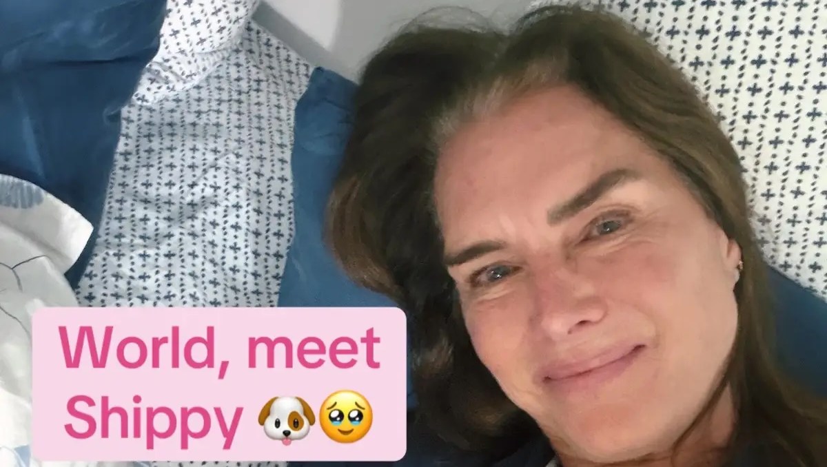 Brooke Shields Shows Off Her Silver Roots After Daughter Teased Her Grays