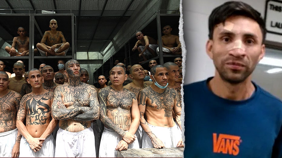 Machete-wielding MS-13 gangster wanted for murder walks free after Biden-appointed judge releases him: DHS