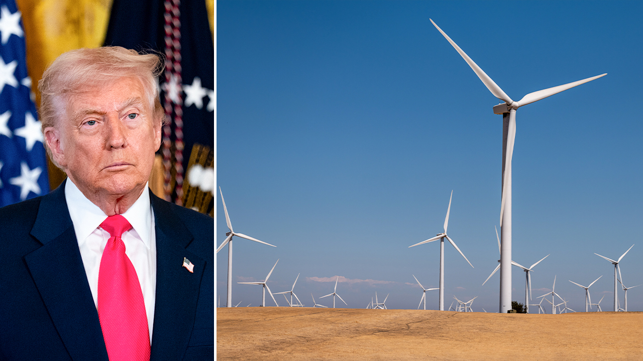 Federal judge strikes down Trump executive order blocking wind energy projects