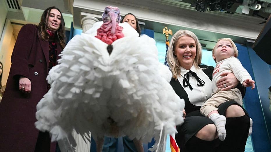 'Waddle' the turkey faces press questions in White House briefing room ahead of presidential pardon