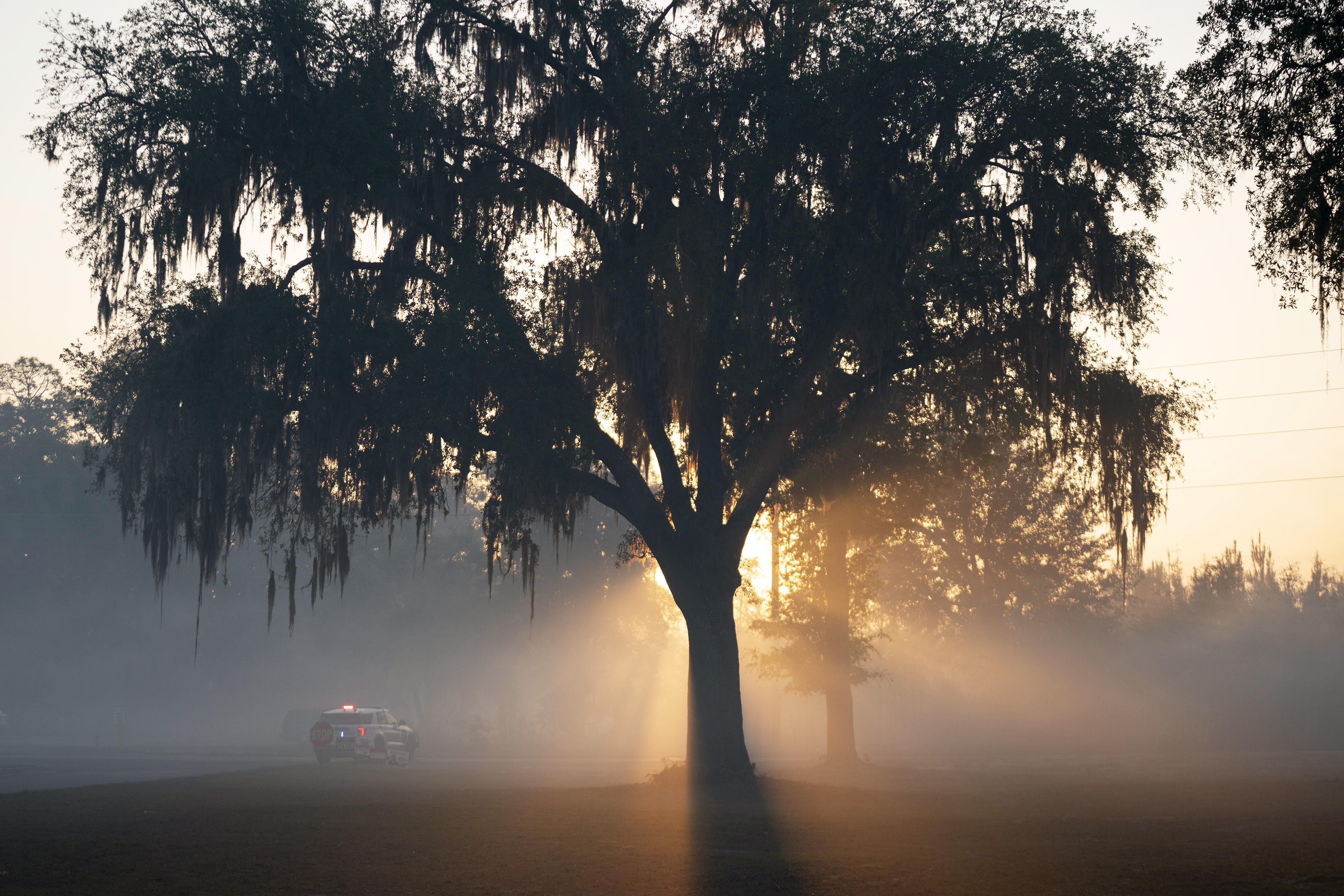 Why the American Southeast is becoming a new hotspot for wildfires