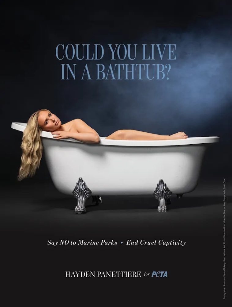 Hayden Panettiere Poses in Bathtub for PETA Campaign Weeks Before Death