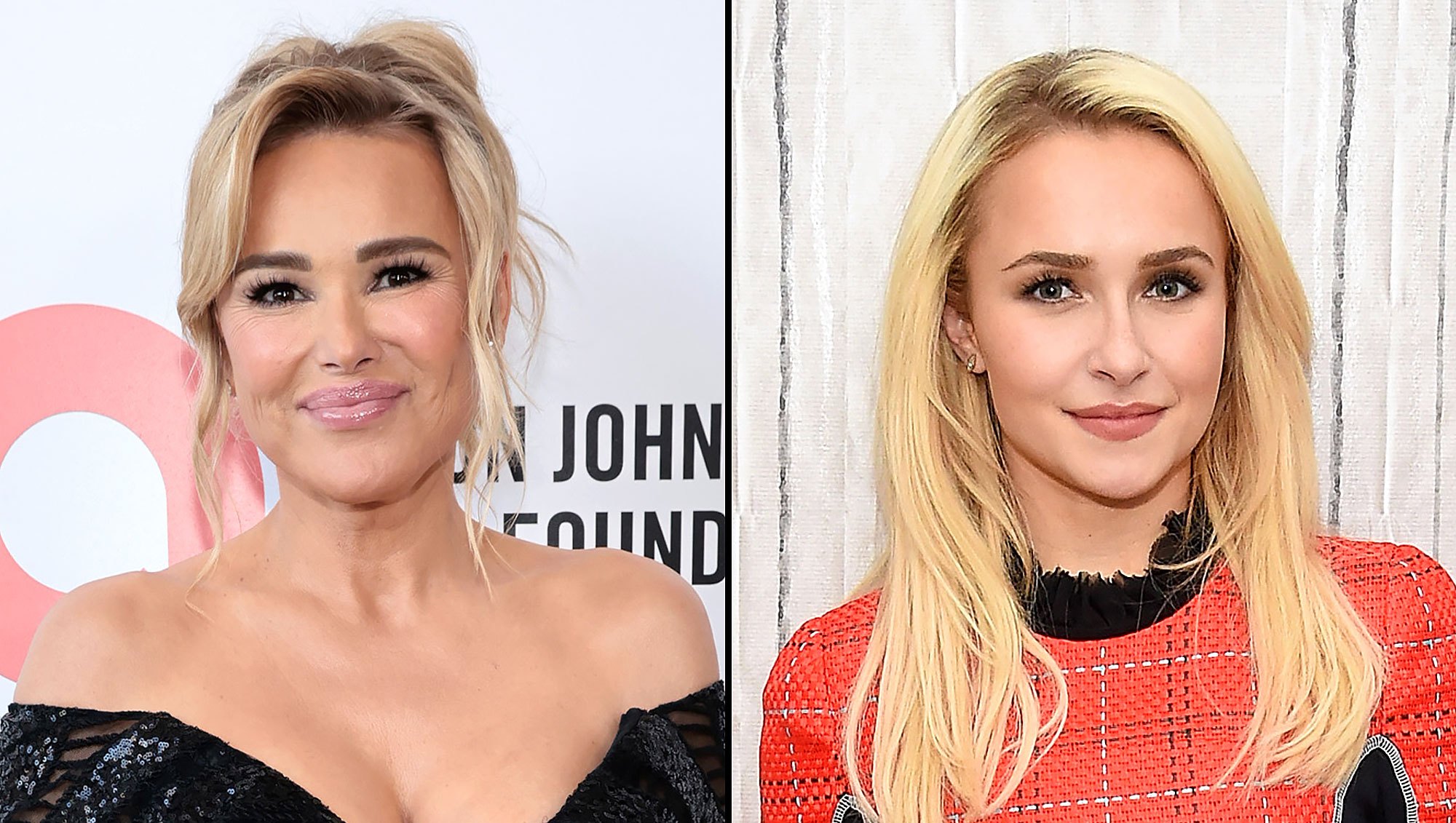 Inside Hayden Panettiere's Connection to 'RHOBH' Alum Diana Jenkins