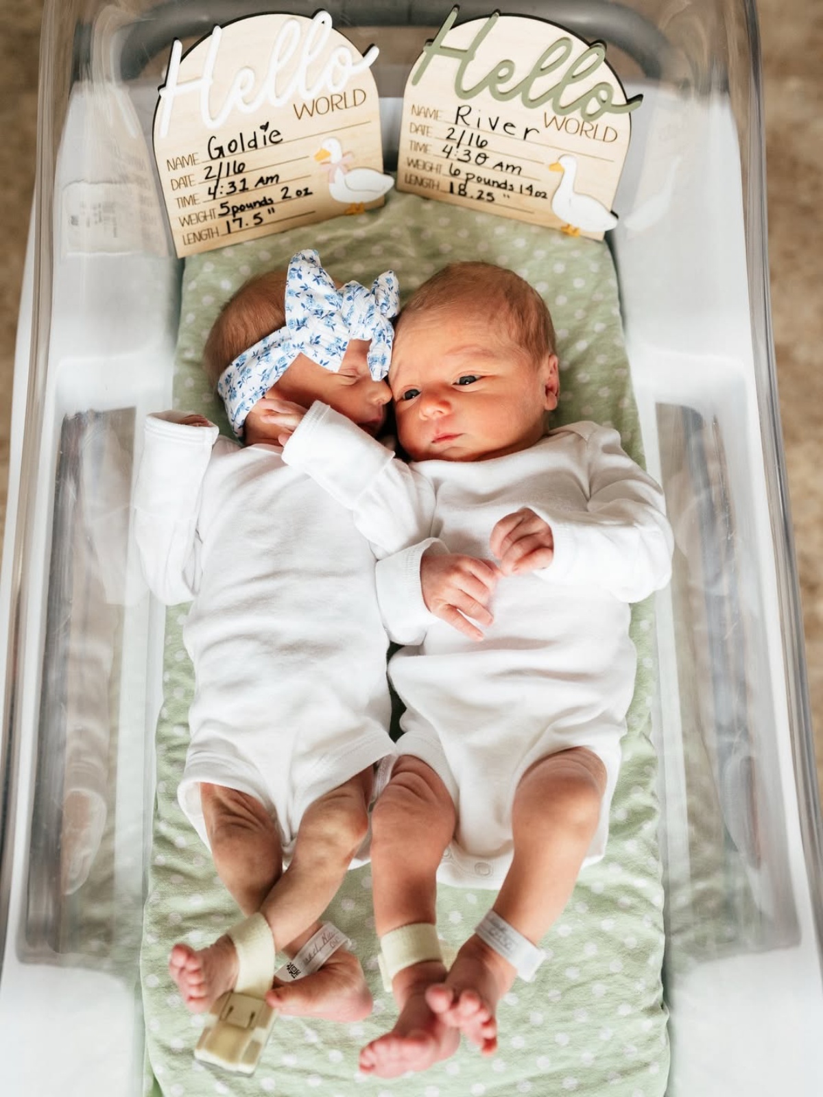 Big Brother’s Nicole Franzel and Victor Arroyo Welcome Twins