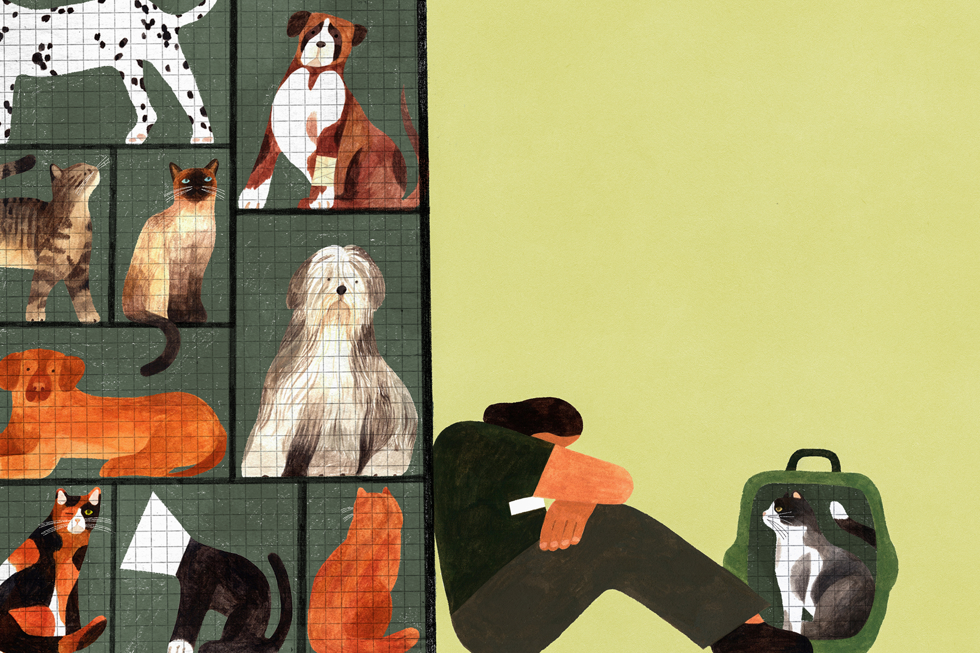What haunts America’s animal shelter workers