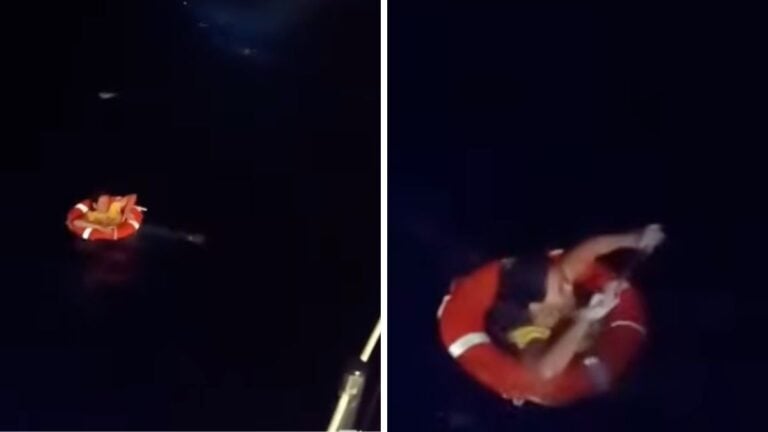 Video Shows Woman Overboard from Odyssey of the Seas Found Alive in the Dark