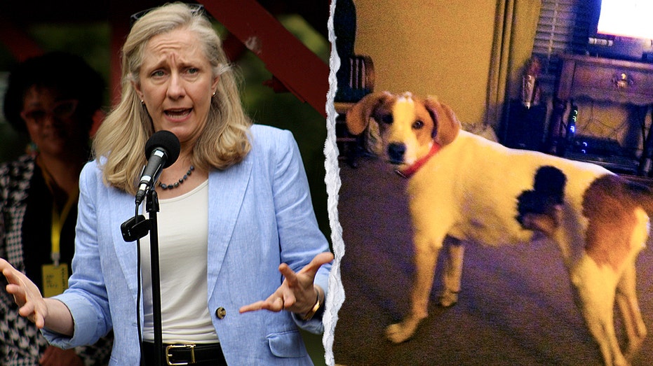 'Biscuit' the dog is latest dead felon to get their voting rights back from Spanberger, confused owner says