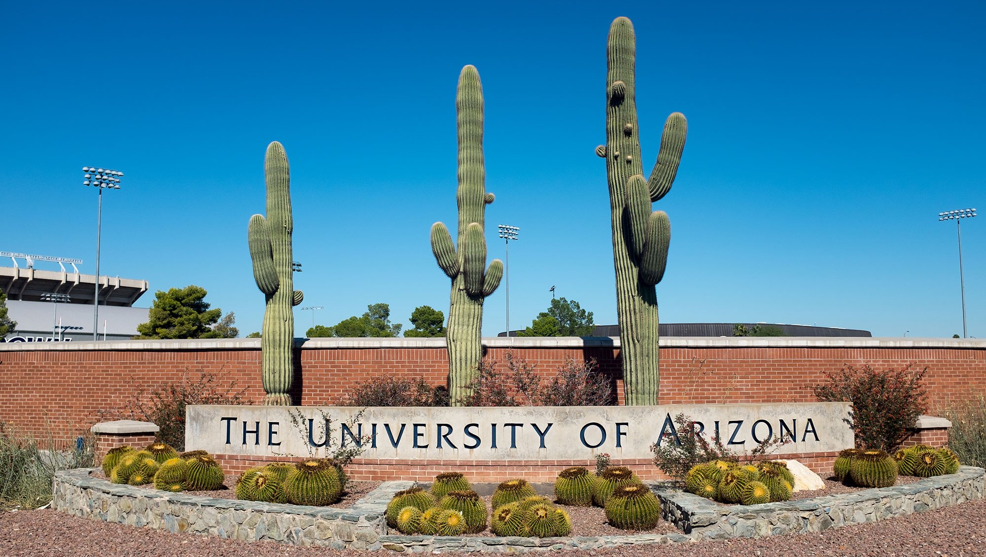 University of Arizona Immediately Suspends 6 Frats Amid Misconduct Probe