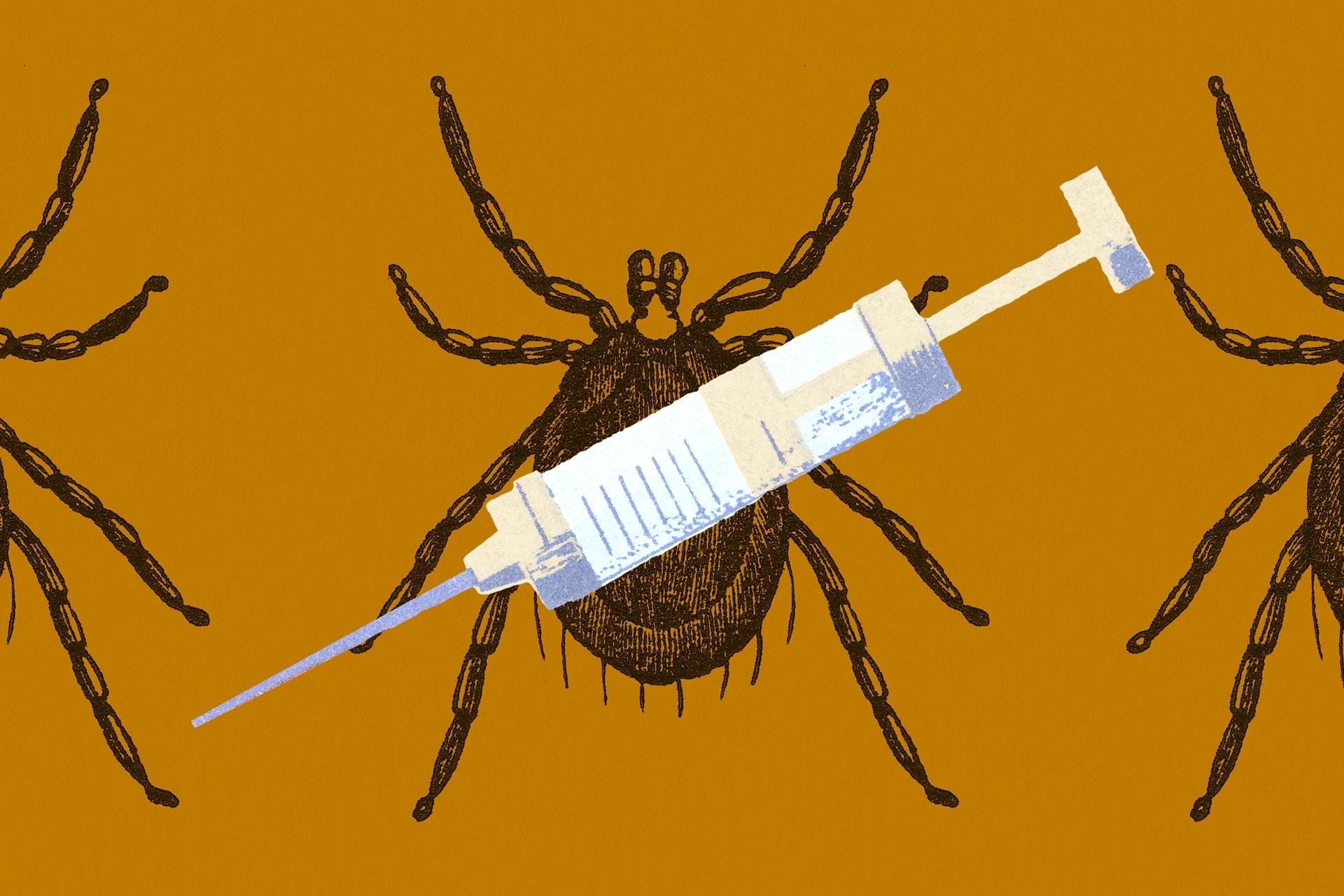 Ticks are spreading Lyme disease across America, but we can beat them. Here’s how.