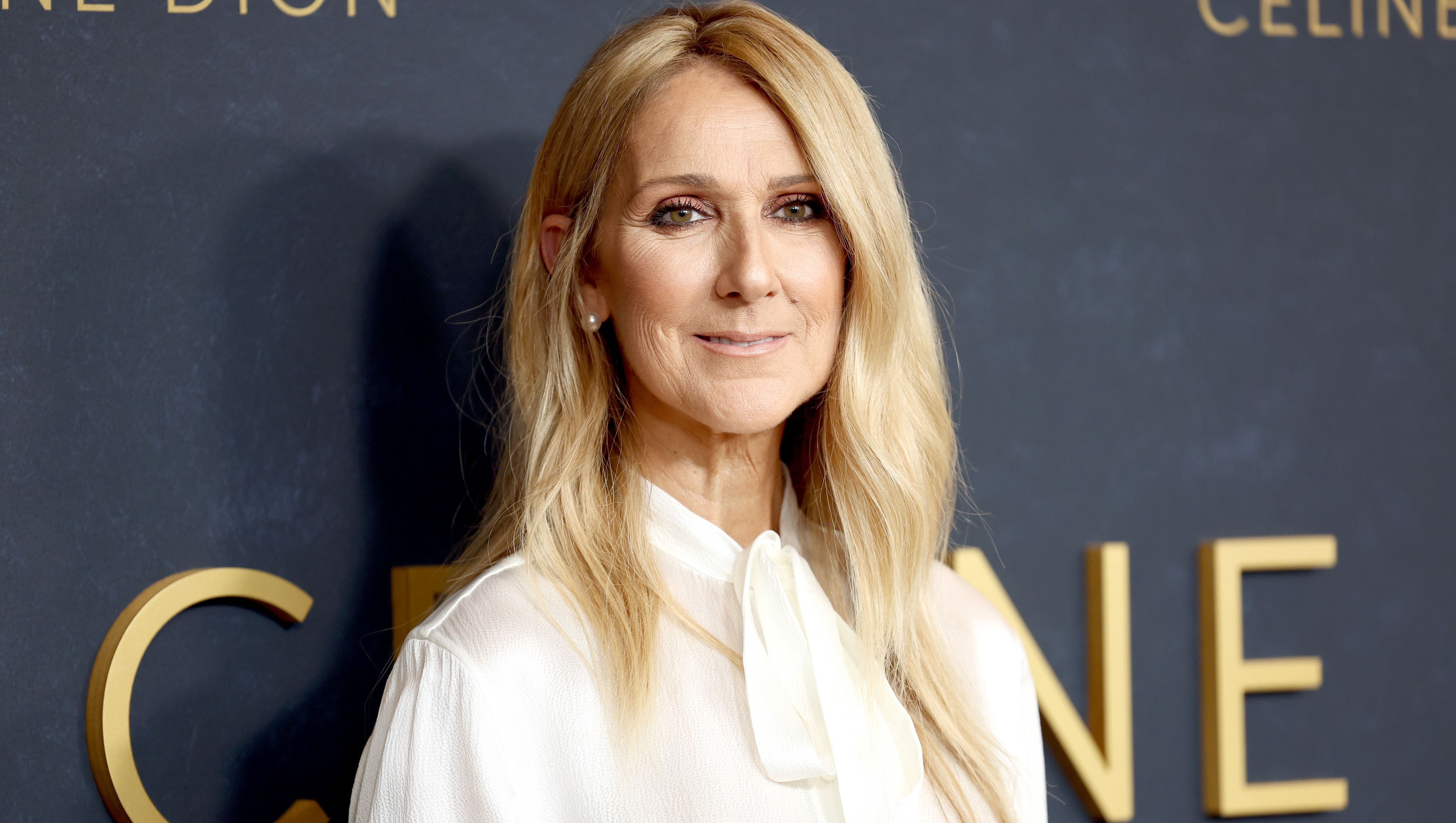Dress Like Céline Dion! Sparkly Skirts to Wear From Fall to Winter