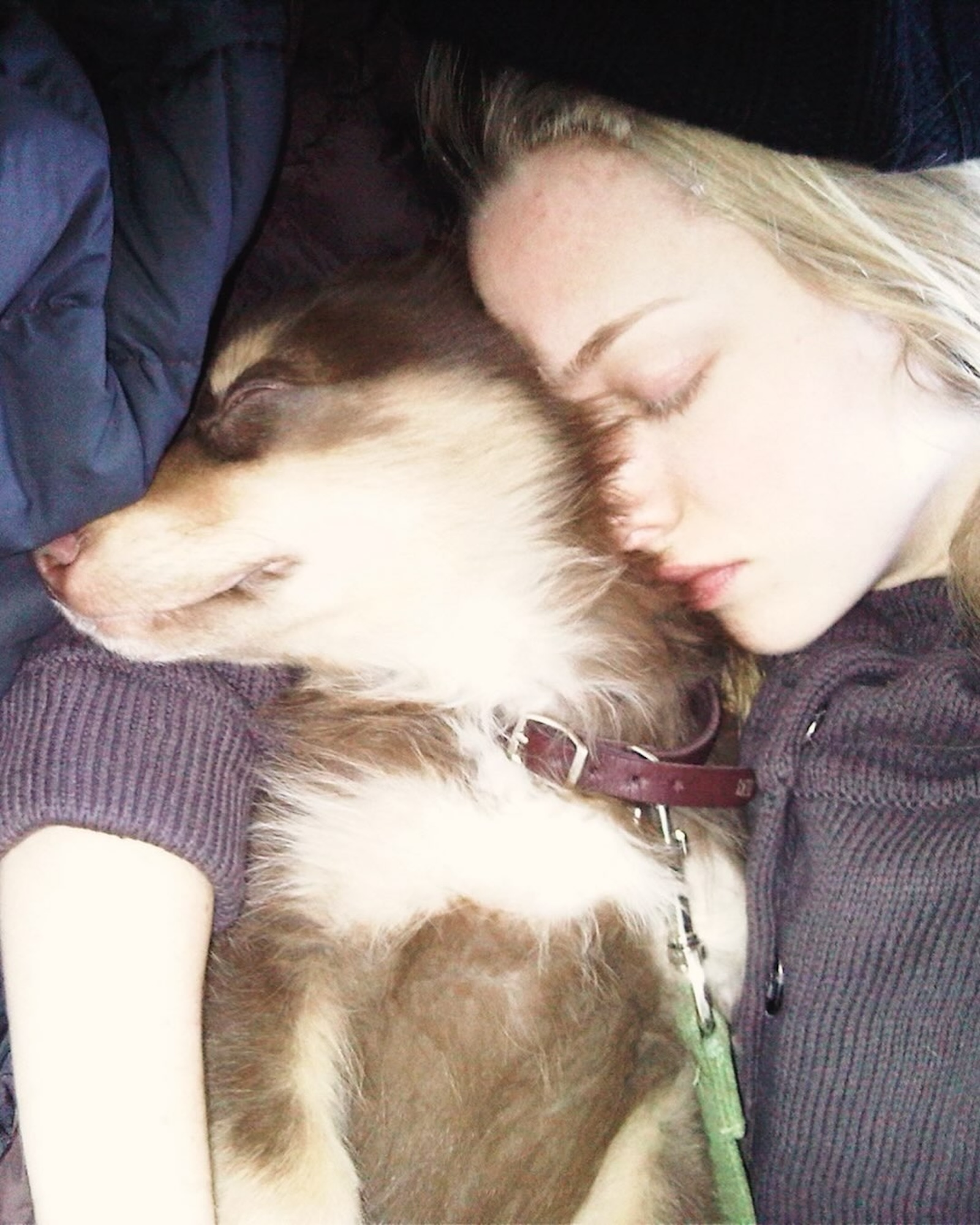 Amanda Seyfried Pays Tribute to Beloved Dog Finn After Death at 16