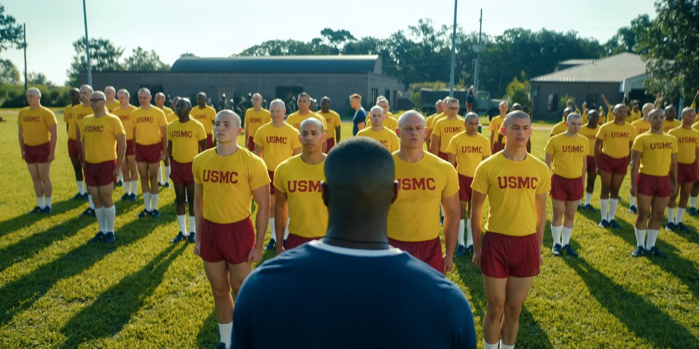 Netflix Cancels Several Shows After Only 1 Season