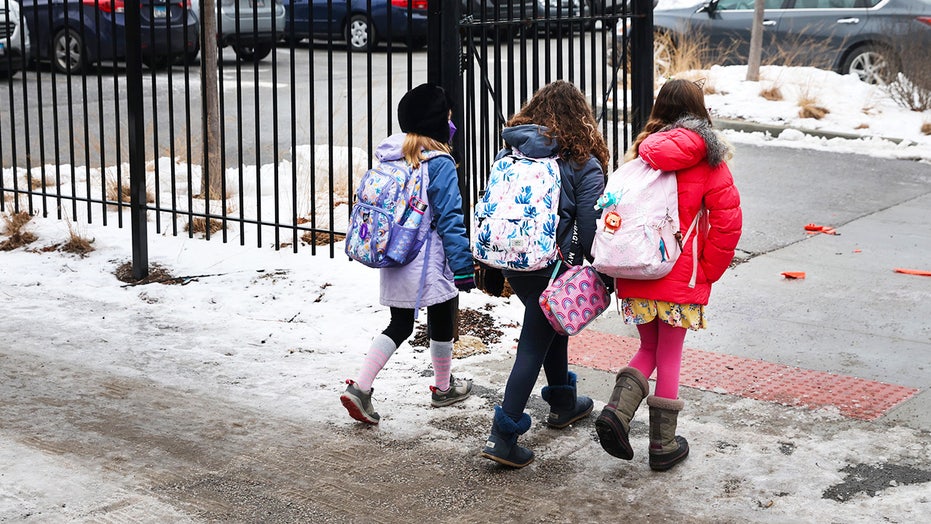 Campus Radicals Newsletter: Teacher who lost job over 2-word post breaks silence, Chicago 'racial segregation'