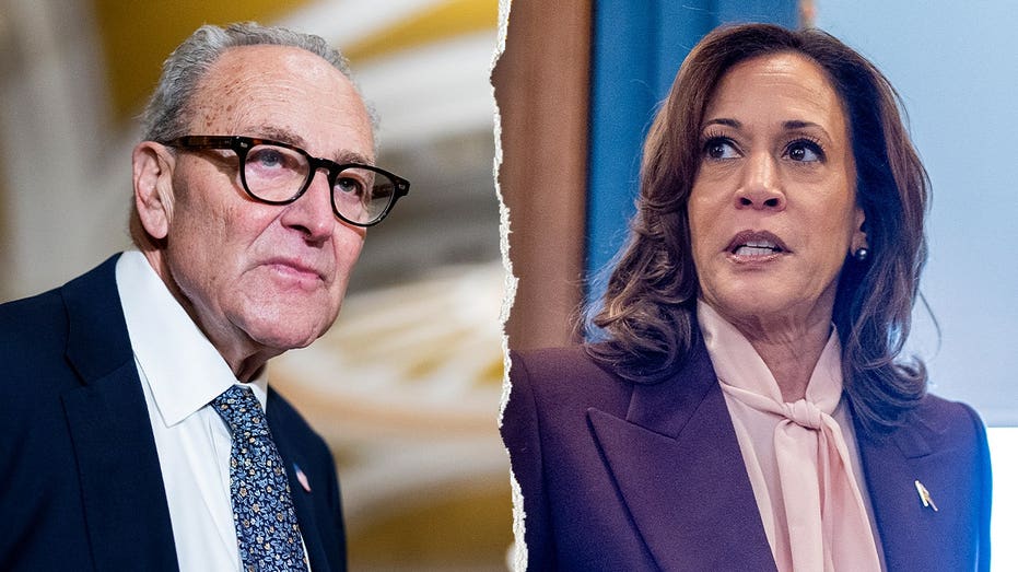 WATCH: Dem senators dodge backing Kamala Harris in potential 2028 run: ‘Very messy’