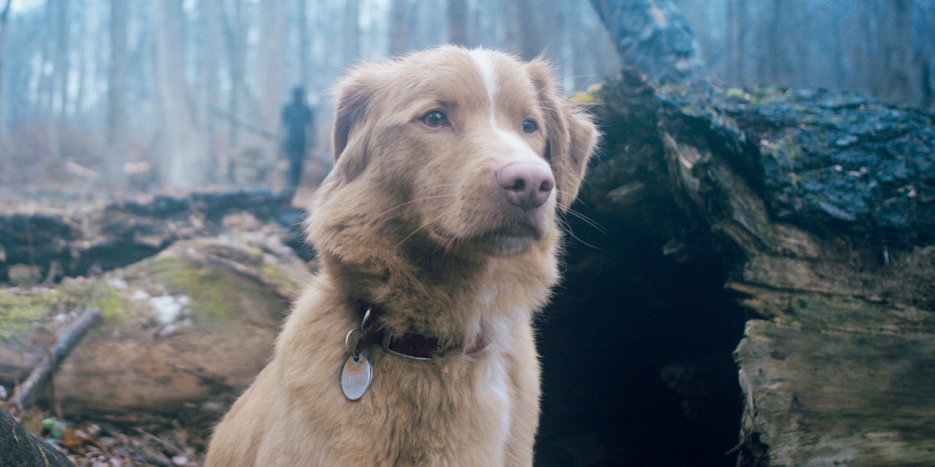 3 Best New Hulu Movies to Watch This Weekend (April 24-26): ‘No Other Choice’ and More