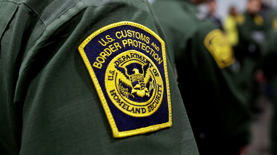 Pentagon taps civilian employees to assist Trump administration immigration enforcement