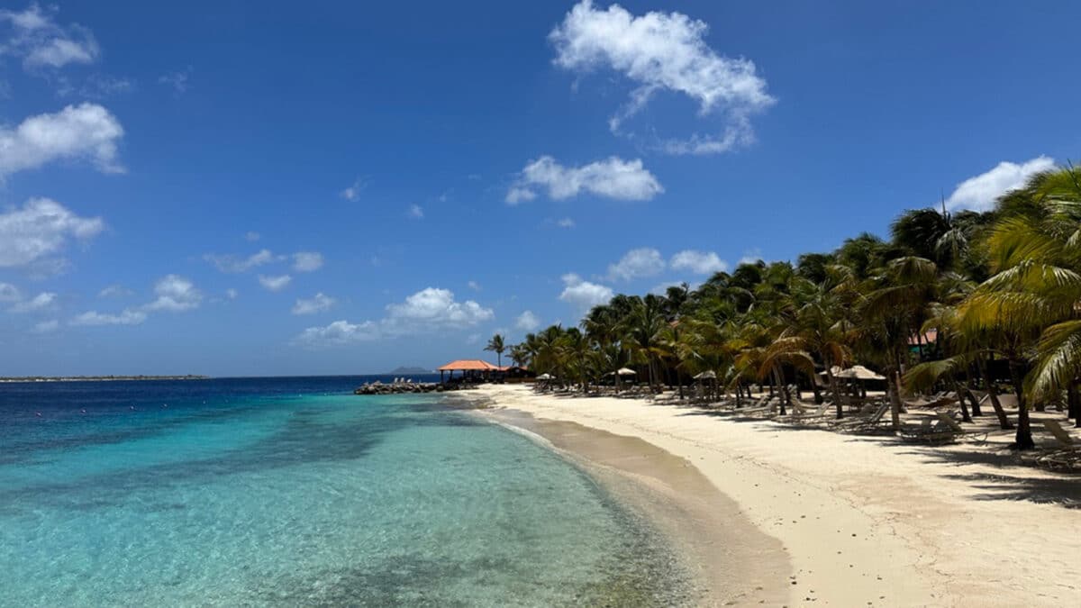 Bonaire Sits Outside the Hurricane Belt, With Dive Lodges, Beach Villas, and Adults-Only Pool Suites