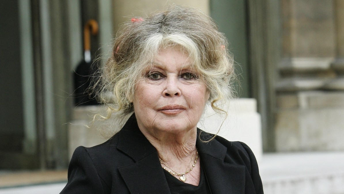 Actress Brigitte Bardot, 91, Is Recovering After Hospital Stay: Report