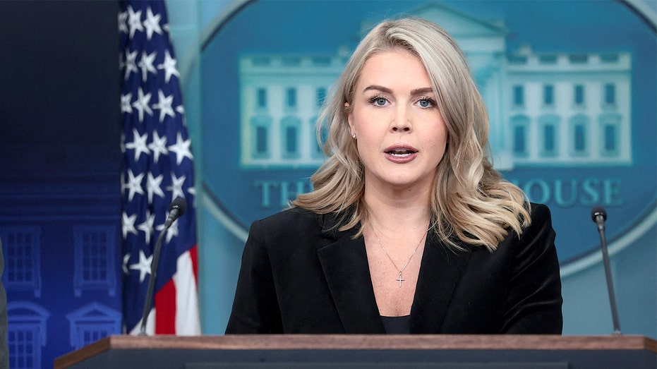 Leavitt accuses CNN reporter of trying to 'push narratives' during heated White House exchange