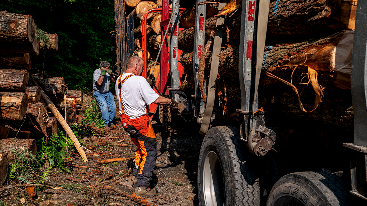 Soaring diesel prices threaten collapse of timber industry: 'We're in trouble,' executive warns