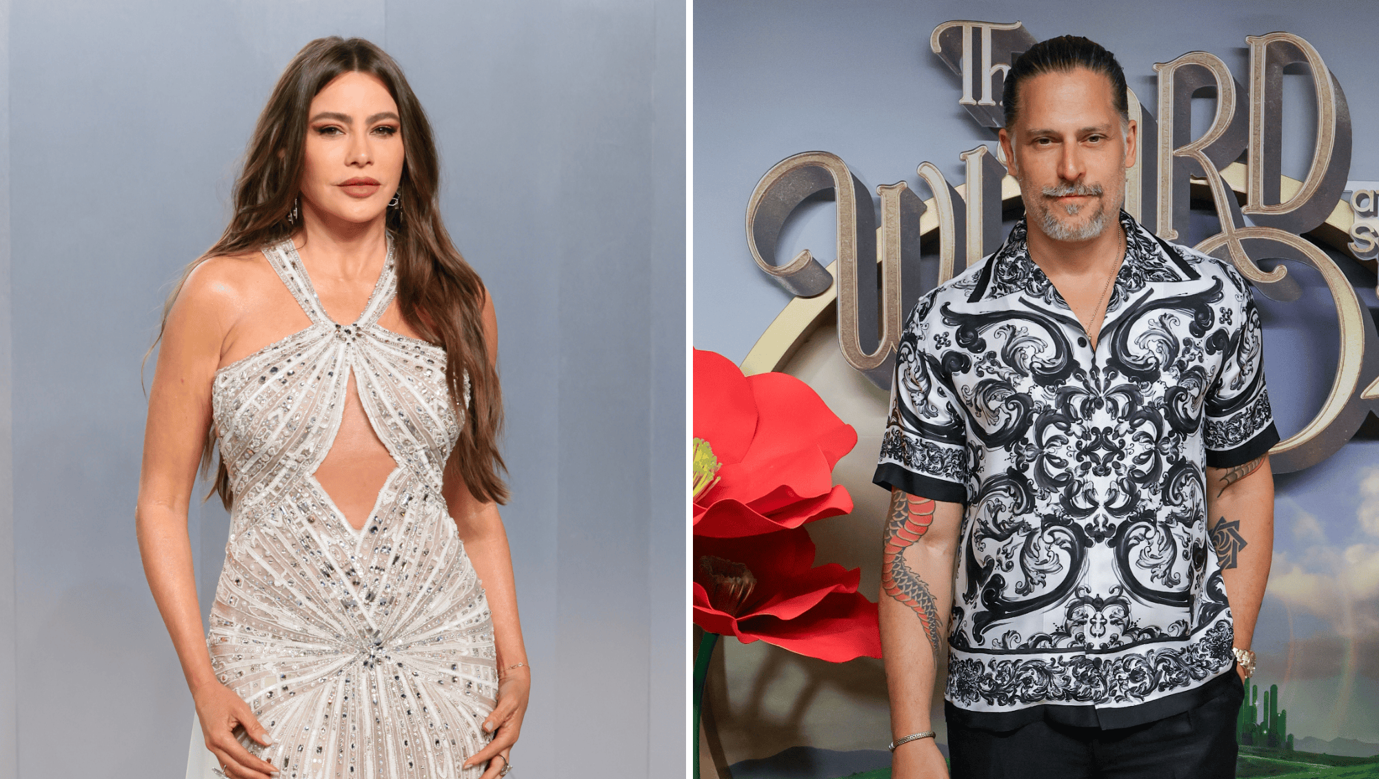 Sofia Vergara Slams 'Narcissistic Men' After Joe Manganiello's Memoir Claims