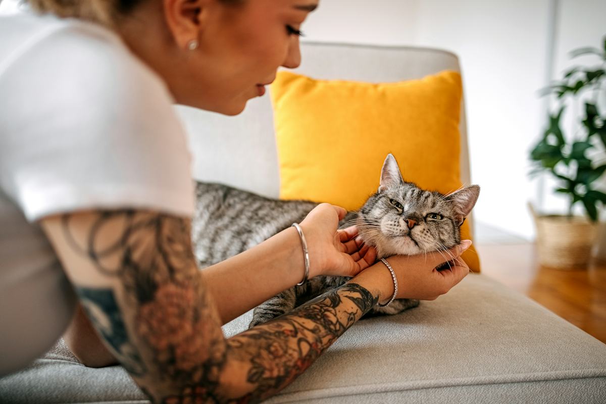 Why Is My Cat Drooling Suddenly? Vets Say It Could Be An Emergency