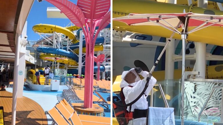 Bee Swarm Removed From Utopia of the Seas Pool Deck in Port Canaveral