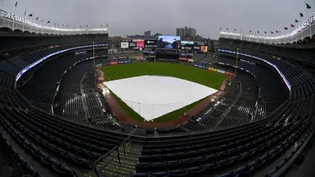 The Impact of New York Sports Teams on Community Engagement and Local Economy